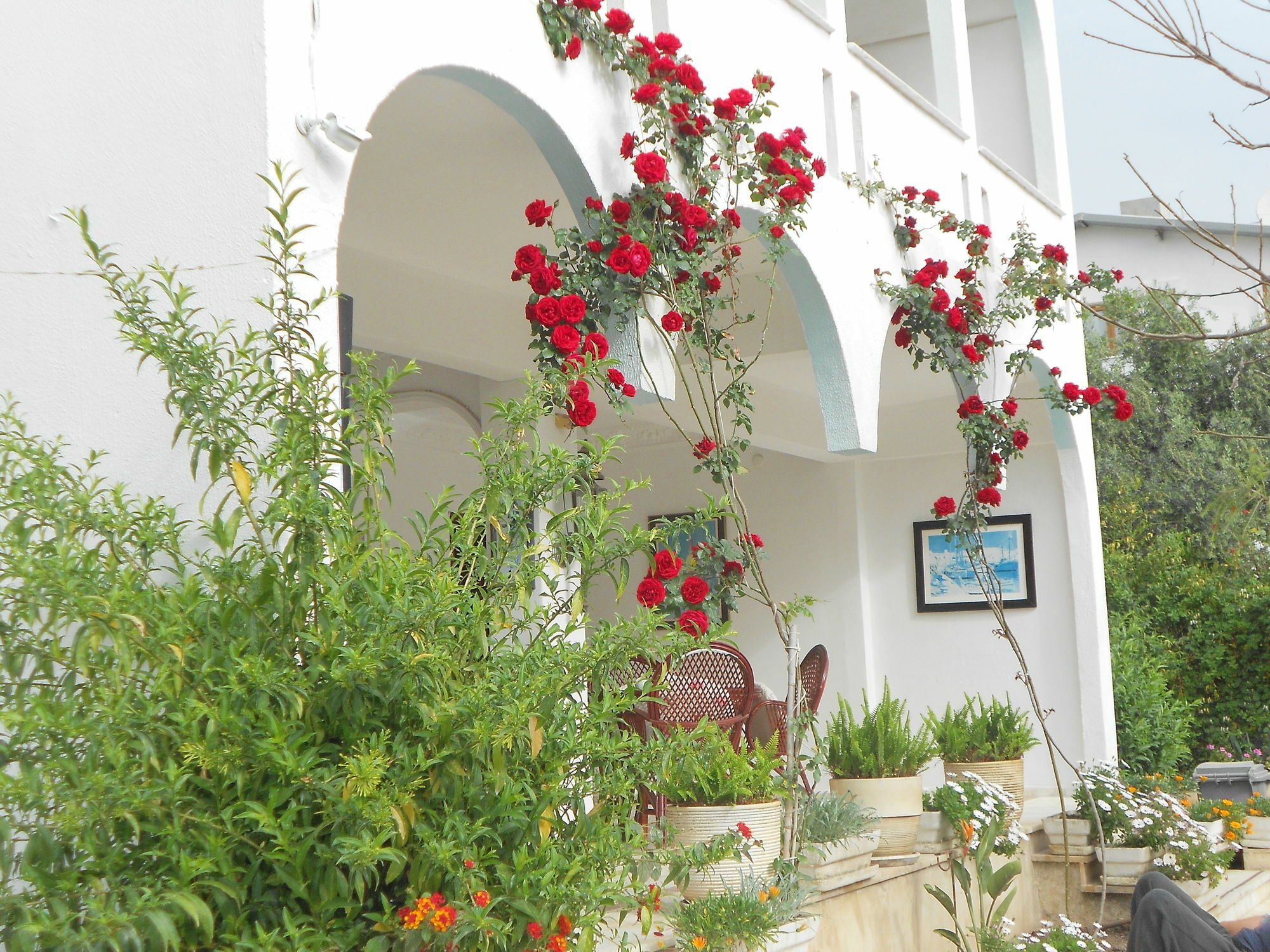 Garden Prizma Rooms&Aparts Kemer Exteriér fotografie
